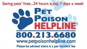 pet poison helpline